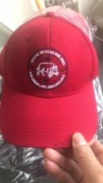 Example of Embroidered Logo - 图片 5