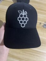 Example of 3D Embroidered Logo - 图片 4