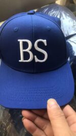 Example of 3D Embroidered Logo - 图片 3