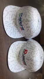 Example of Embroidered Logo3 - 图片 5