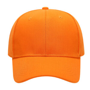 Custom Baseball Cap - 16 Color Variants Selection Grid