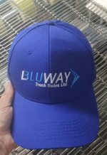 Example of Embroidered Logo3 - 图片 6