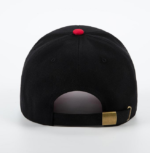 Custom Logo Two-Tone Baseball Cap - Structured 5 Panel High Profile Sports Hat - 图片 5