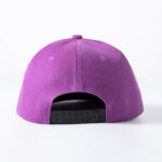 custom-logo-snapback-hat-flat-brim-baseball-cap-2