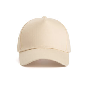 custom-logo-5-panel-baseball-cap-cotton (15)