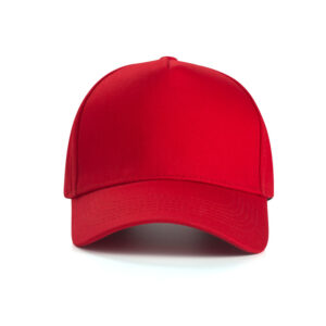 custom-logo-5-panel-baseball-cap-cotton (7)